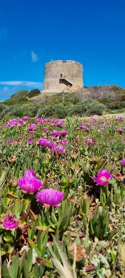 Rena Bianca 7 Διαμέρισμα Santa Teresa Gallura